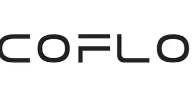 Logo de EcoFlow: Estaciones de energía portátil y carga rápida solar